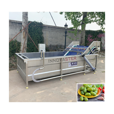 Automatic Salad Leaf Vegetable Processing Line Washer with 6000*1400*2400 Dimensions