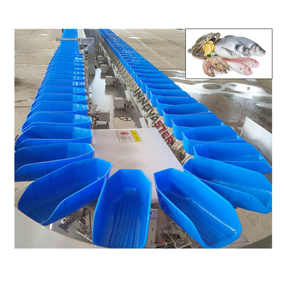 Function Fruit Vegetable Selecting Sorting Grading Machine with 304 Stainless Steel