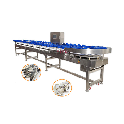 304 Stainless Steel Food Industry Equipment Oyster Weight Grader for Shrimp Sorting