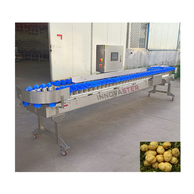Accurate Sorting Automatic Weight Grading Machine for Food Industry Equipment 500 KG