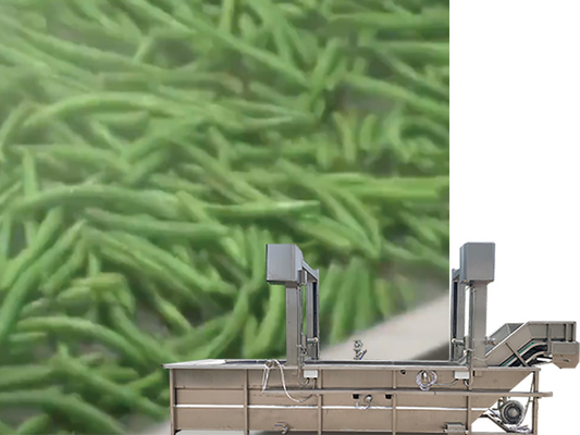 Water Recycle SUS 304 Gantry Lift Tank Vegetable And Fruit Washing Machine for Design