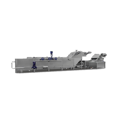 Customized Gantry Lift Bubble Washing Machine For Vegetable And Fruit In Food Beverage