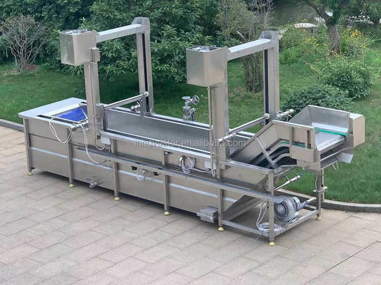Customized Gantry Lift Bubble Washing Machine For Vegetable And Fruit In Food Beverage