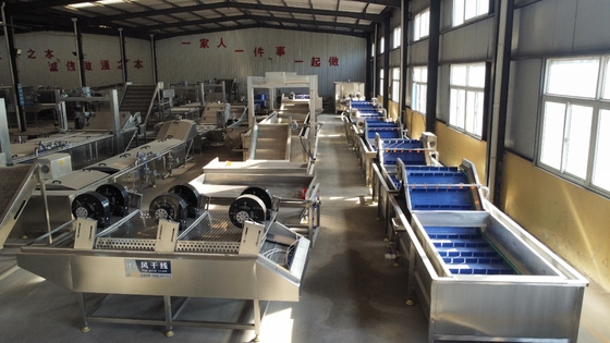 Industrial Vegetable And Fruit Washing Machine With Gantry Lift Tank For Beverage Shops