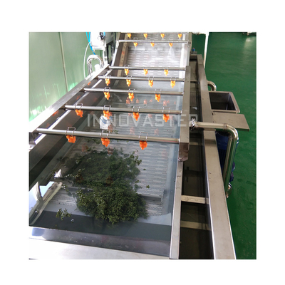 Industrial Fruit and Vegetable Bubble Washing Line with Ozone Water Washing Machine