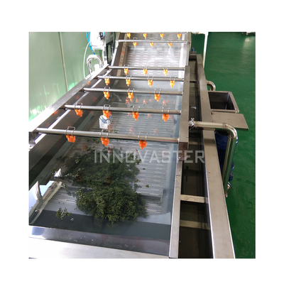 6000*1400*2400 Automatic Water Chestnut Grape Fruit Vegetable Bubble Washing Machine for Beverage