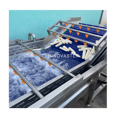 Easy Operate Nozzle Spray Fruit Lettuce Spinach Vegetable Brush Washing Machine