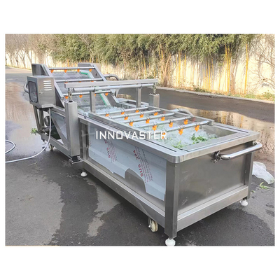 Industrial Automatic Ozone Leaf Lemon Herbal Apple Washing Machine Line with SUS 304