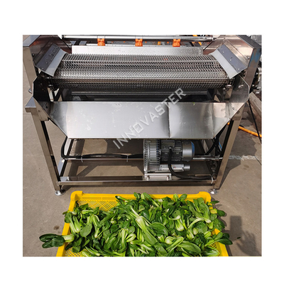 Water Recycle Ozone Leaf Lemon Herbal Apple Washing Machine for Beverage Distributors