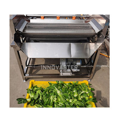 Easy Operate Automatic Vegetable Washer Fruit Washer Peanut Bubble Cleaning Machine