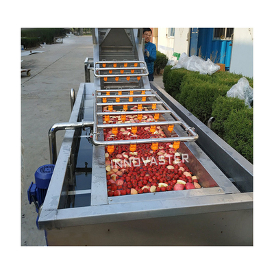 Water Recycling Vortex Type Vegetable and Fruit Washing Machine with Advantageous Design