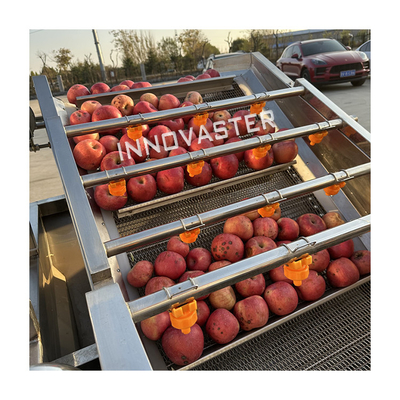 SUS 304 Fruit Vegetable Processing Machines Apple Washing Drying Waxing Sorting Machine for Beverage
