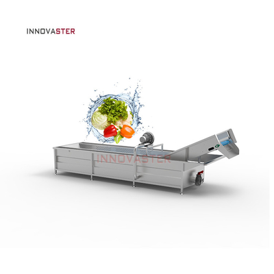 Industrial Grade Water-Based Olive Fruit Leaf Vegetable Cleaning and Drying Equipment