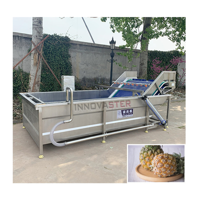 Technology Tomato Fruit Washer Air Bubble Machine Vegetable Washing Machine for Cleaning