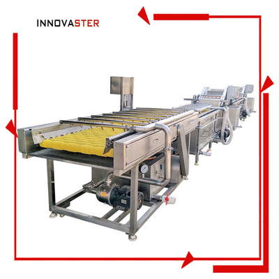 Easy Operate Industrial Potato Cleaning Machine for Cleaning Fruits and Vegetables