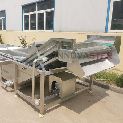 Advanced Ozone Technology Vegetable Washing Machine for Cabbage Sugar Beet and More