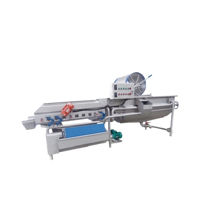 Industrial Fruit and Vegetable Cleaning Bubble Washing Machine for Beverage Applications