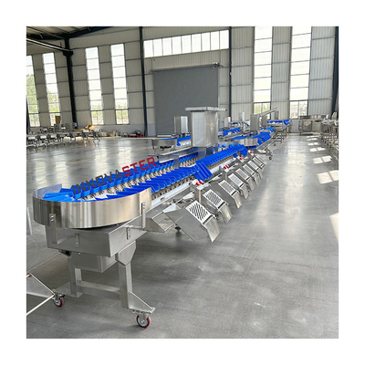 220V/380V Automatic Fish Oyster Vegetable Mango Avocado Weight Grader for Market
