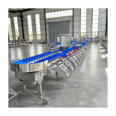 220V/380V Automatic Sea Cucumber Chicken Feet Weight Sorting Machine for Food Market