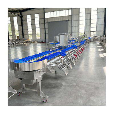 Food Industry Equipment 2500W Automatic Weight Grading Machine for Chicken Feet Paws