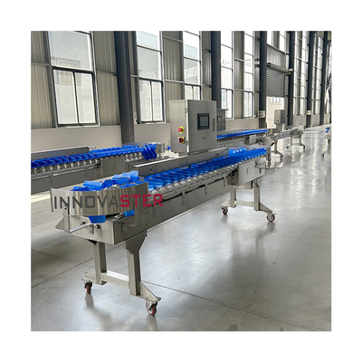 Food Industry Equipment Automatic Shrimp Seafood Fish Check Weight Sorter Grader Machine