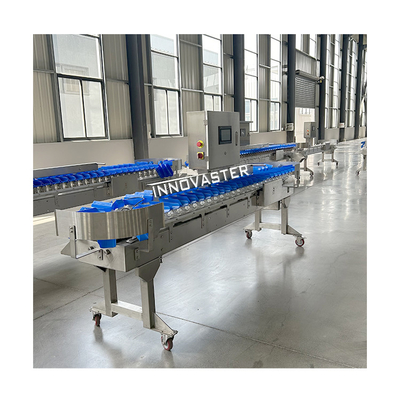 6000x1250x1750mm Seafood Oyster Fish Weight Grader Sorter for Food Industry Equipment