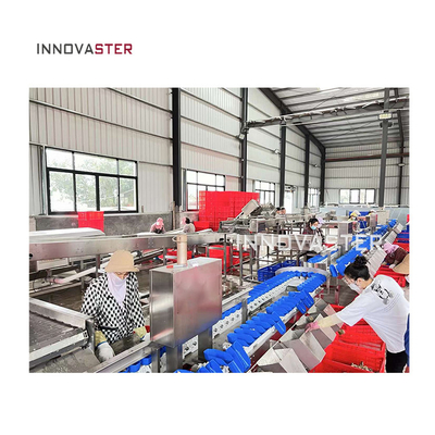 Multifunctional Automatic Industrial Conveyor Check Weight Grading Machine for Fruit