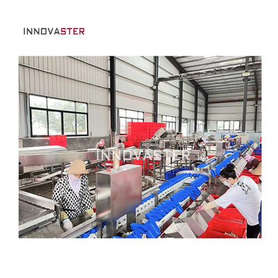 Function 500 KG Poultry Weight Sorting Machine for Optimal Fruit and Vegetable Sorting