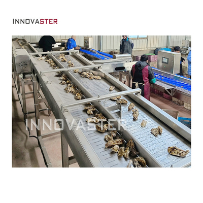 304 Stainless Steel Automatic Scallop Crayfish Oyster Shrimp Weight Sorting Machine