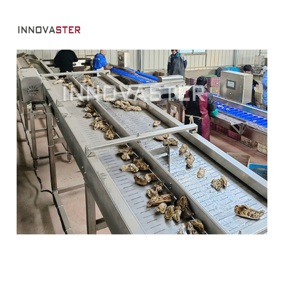 Multifunctional 2500W Oyster Scallop Sea Cucumber Sorting Machine