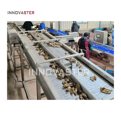 Industrial Weight Sorting Machine for Sorting Fruits Vegetables Seafood and Oysters
