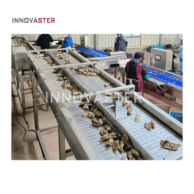 2500W Automatic Roller Brush Washing Seafood Process Oyster Weight Sorting Machine