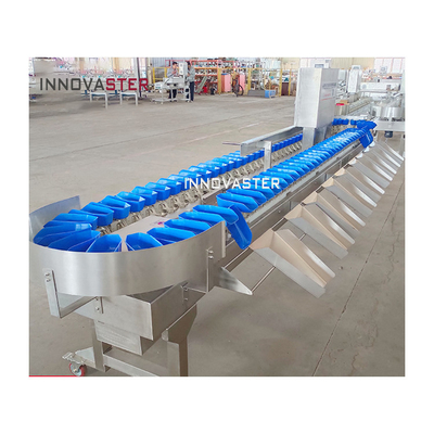 Advanced Automatic Fruit Vegetable Chicken Feet Weight Sorting Grading Machine