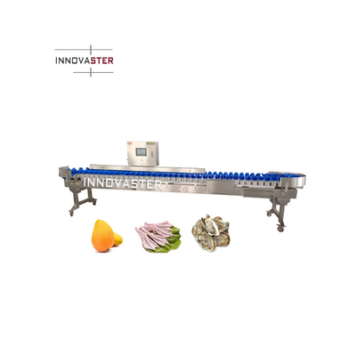 220V/380V Conveyor Belt Checkweigher Grading Sorting Machine for Fish Shrimps Oyster Seafood