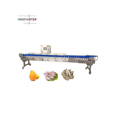 Stainless Steel Automatic Checkweigher for Tomato Garlic Onion in Commercial Catering