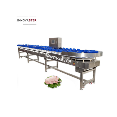 Voltage 220V/380V Conveyor Belt Chicken Fish Oyster Lemon Sweet Potato Weight Sorting Machine