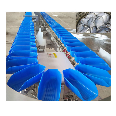 6000x1250x1750mm 304 Stainless Steel Intelligent Carrot Fish Fillet Sorter Equipment