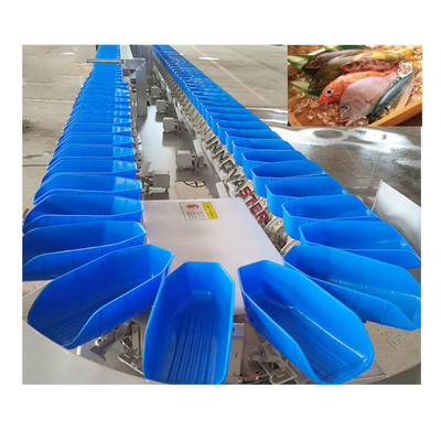 Fish Processing Equipment Easy Operation Rotary Grader Oyster Weight Sorting Machine 220V/380V