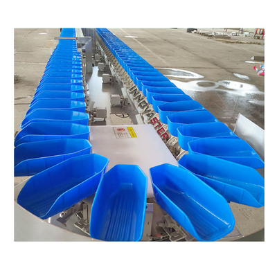 304 Stainless Steel Dynamic Weight Sorting Machine for Corn Raw Material