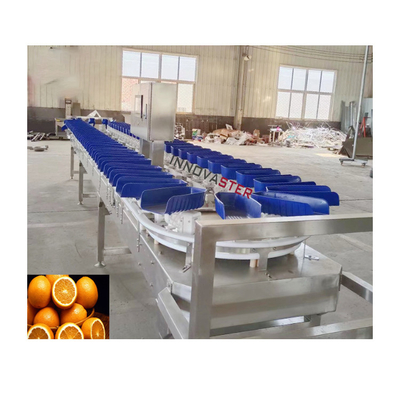 Meat Processing Plants Belt Type Shrimp Grading Machine with User-Friendly Interface
