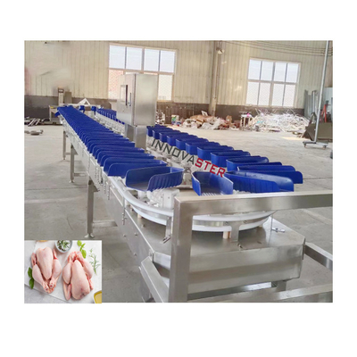 6000x1250x1750mm Intelligent Kiwi Fruit Weight Sorting Grading Machine for Sorting