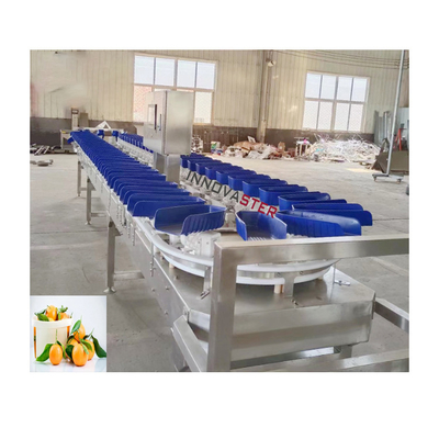 6000x1250x1750mm High Accuracy Orange Frozen Seafood Weight Sorting Machine Performance