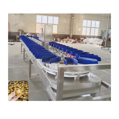 Food Shop Check Weigher Oyster Weight Sorting Machine For Fruit Vegetable 6000x1250x1750mm