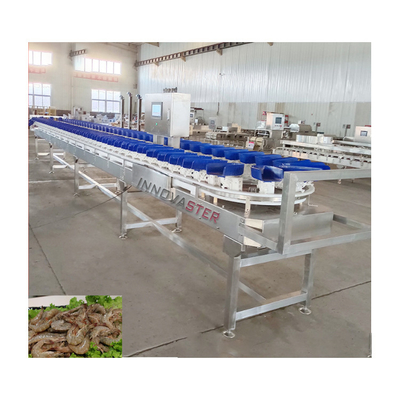 500 KG Weight Sorting Machine for Mango Grading in Frozen Food Conveyor Belt Included