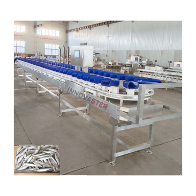 6000x1250x1750mm Frozen Chicken Leg/Wing/Abalone Weighting and Sorting Machine 500 KG