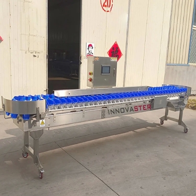 Fruit Vegetable Selecting Sorting Grading Function for Chicken/Beef/Seafood/Fish and Shrimp