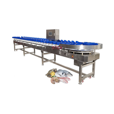 Food Shop Conveyor Belt Type Weight Sorting Machine for Fruits and Vegetables/Fish/Seafood
