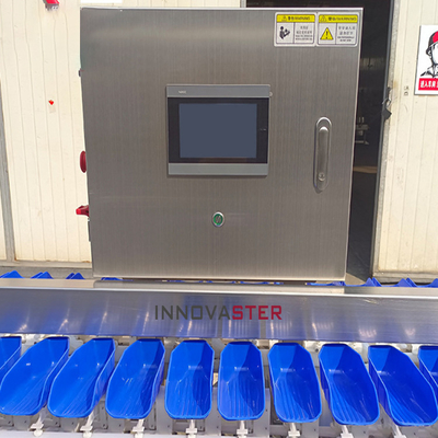 Food Shop Conveyor Belt Type Weight Sorting Machine for Fruits and Vegetables/Fish/Seafood