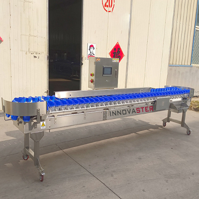 Food Shop Conveyor Belt Type Weight Sorting Machine for Fruits and Vegetables/Fish/Seafood