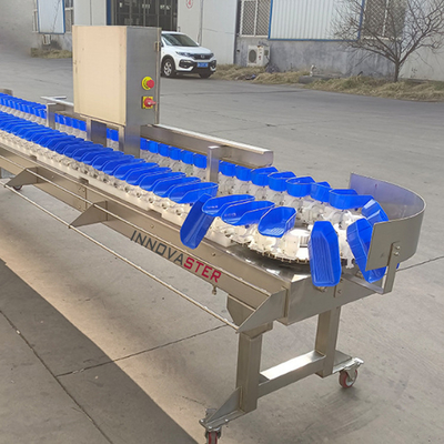 Food Shop Conveyor Belt Type Weight Sorting Machine for Fruits and Vegetables/Fish/Seafood